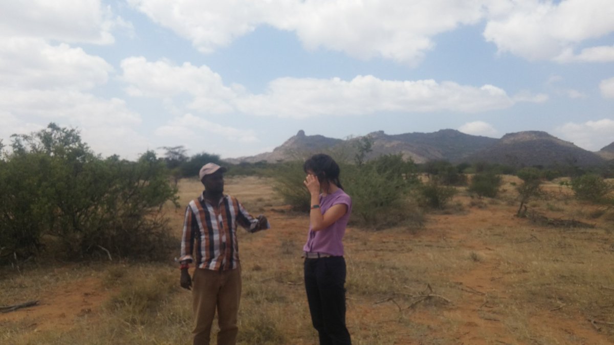 Benson, Rangelands Manager for Kalama Community Conservancy <a href="/NRT_Kenya/">@nrt_kenya</a> taking us through their impressive use of grazing management and scrub clearing to regenerate degraded grasslands. Delighted to be here with @LandLivelihoods, <a href="/GSI_Exeter/">Global Systems Institute</a> funded by <a href="/GCRF/">Global Challenges Research Fund (GCRF)</a>.