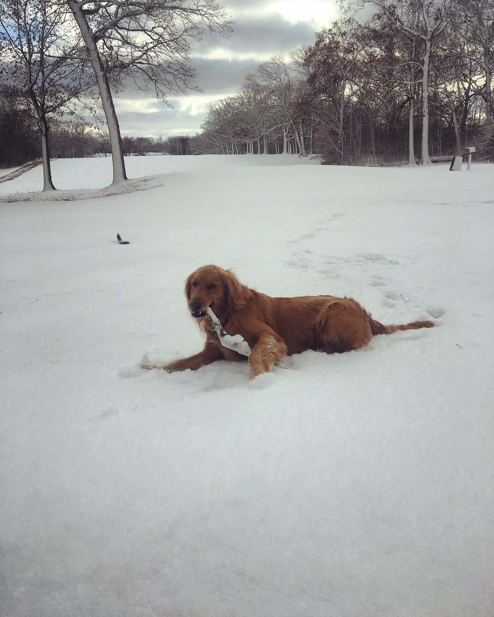 Olympia Fields Country Club tweet media