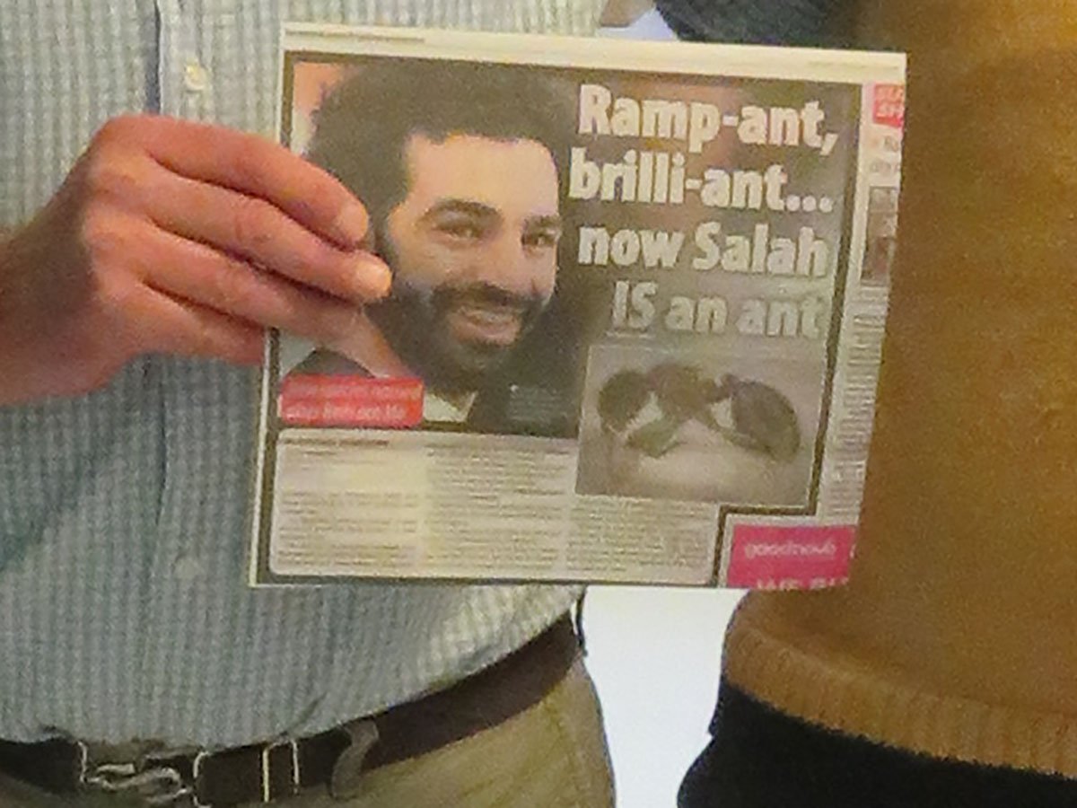 AndyPolaszek's tweet photo. With friend, research collaborator and fellow football fan Mostafa Sharaf – currently the most famous man in Egypt, having named a new ant species after his countryman Liverpool striker Mo Salah: https://t.co/sMvdvyuMw2 https://t.co/Lp61fyIBEp