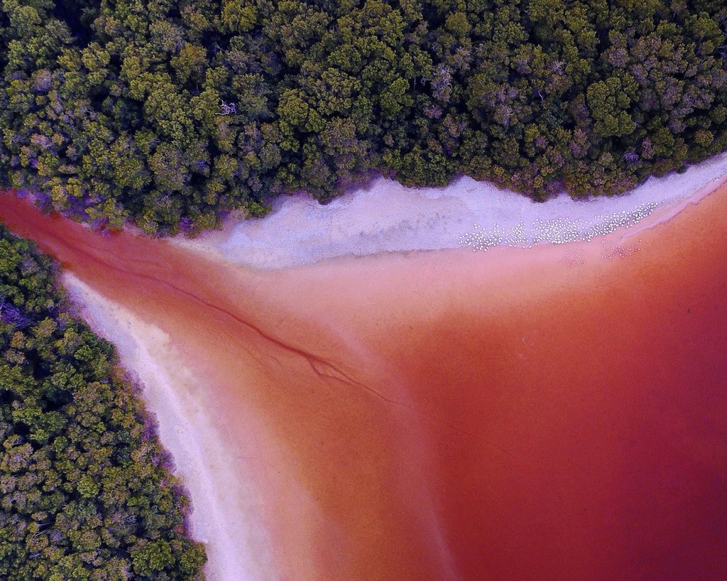 Celestún, Yucatán.