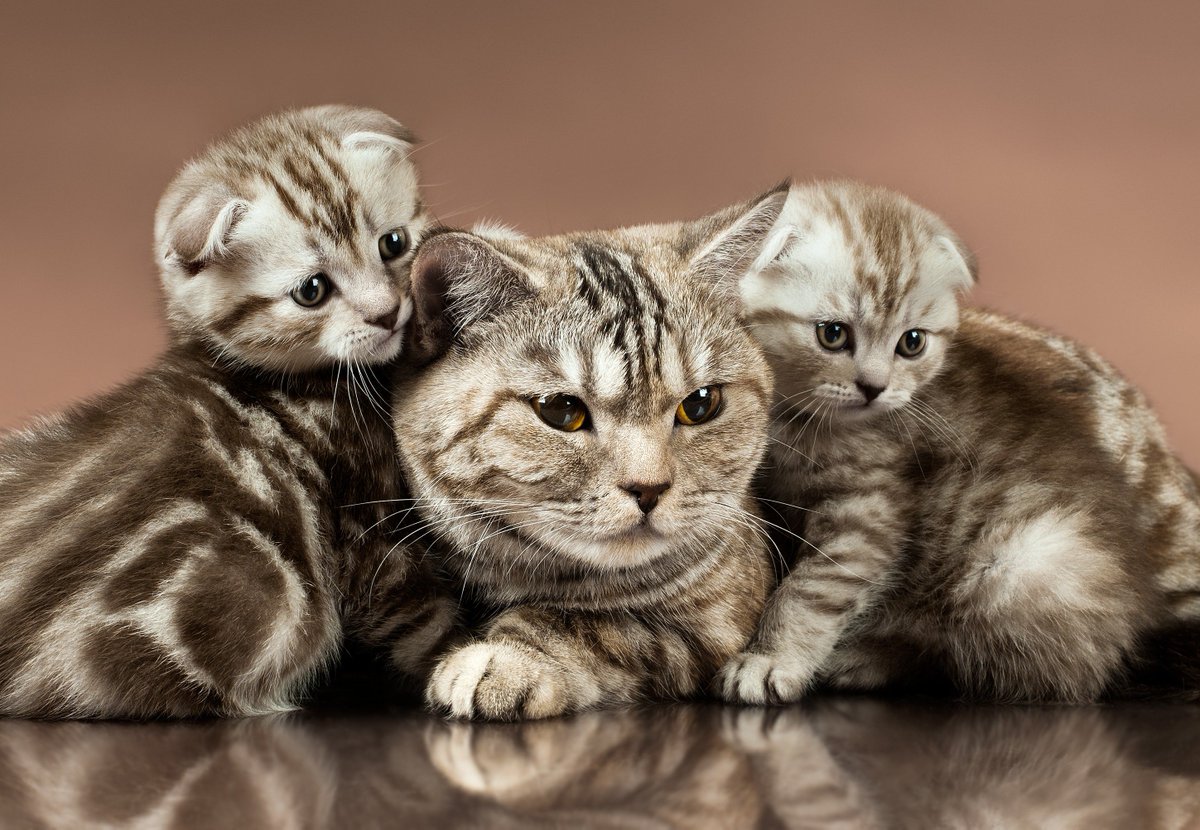 ♡♡♡❤️♡♡♡