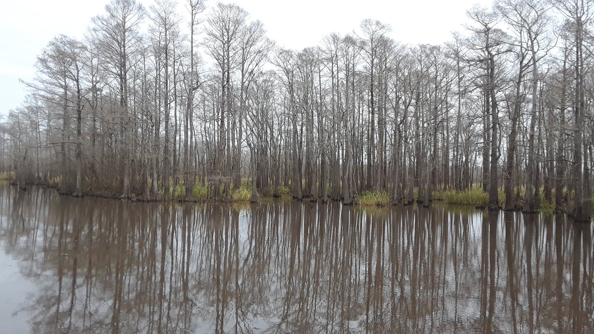 ECHS Culinary Arts tweet media