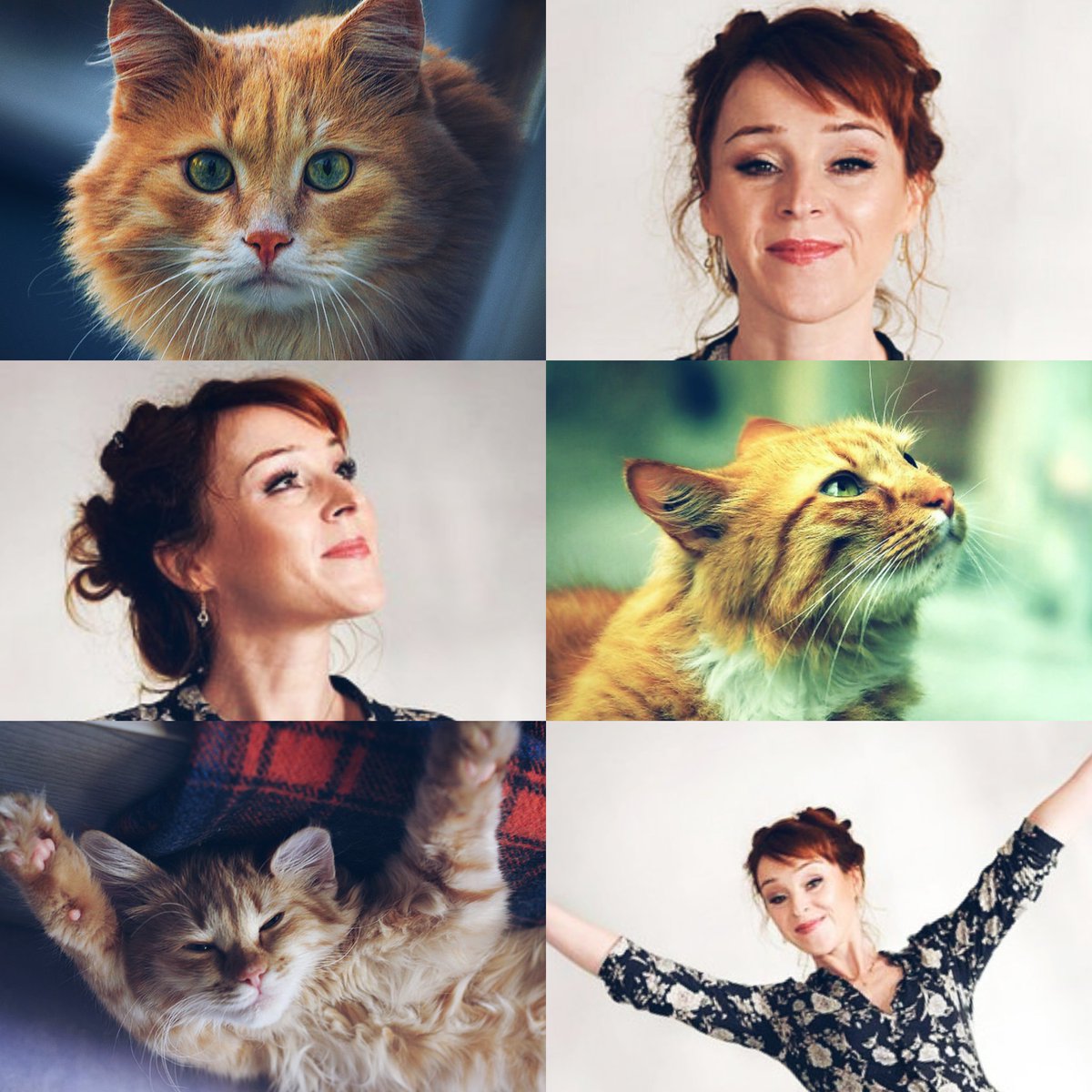 Bigudushka's tweet photo. Amazing Ruth 😘♥🐱
@RuthieConnell, I hope you have a wonderful day! 😊❤
#SPNFamily https://t.co/WHHKvXIo7k