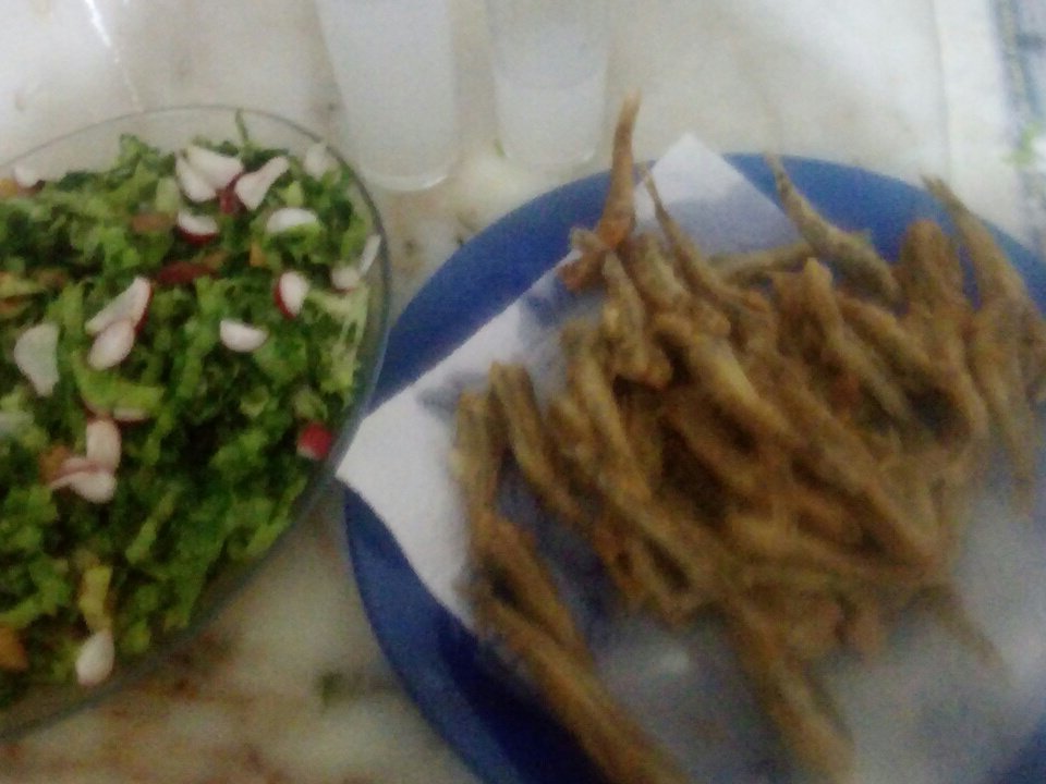 Günlerden rakı balık olsun