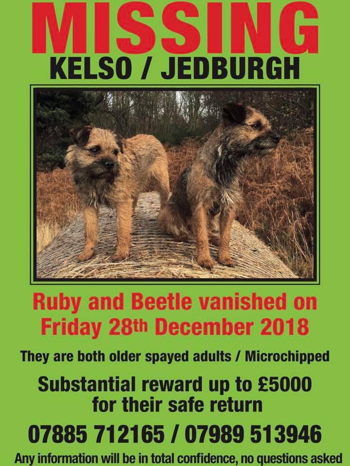 sarah davidson (@sarahdavidson4) on Twitter photo <a href="/claptonterrier/">Sir Clapton Terrier</a> would really appreciate it if you could retweet this poster and help make as many people aware and get these two back to their devasted family, thanks <a href="/claptonterrier/">Sir Clapton Terrier</a> would really appreciate it if you could retweet this poster and help make as many people aware and get these two back to their devasted family, thanks