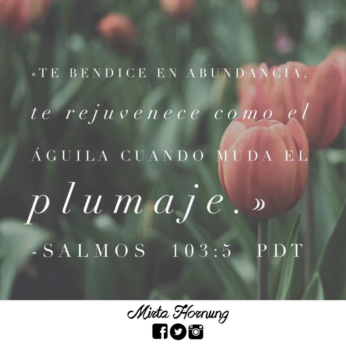 mirtahornung's tweet photo. Líder:Dios te Bendice en Abundancia.Te rejuvenece como el águila cuando cambia de plumaje!!!Salmos 103:5 ⁦@AguaVivaPeru⁩ https://t.co/8uI30XIsE8