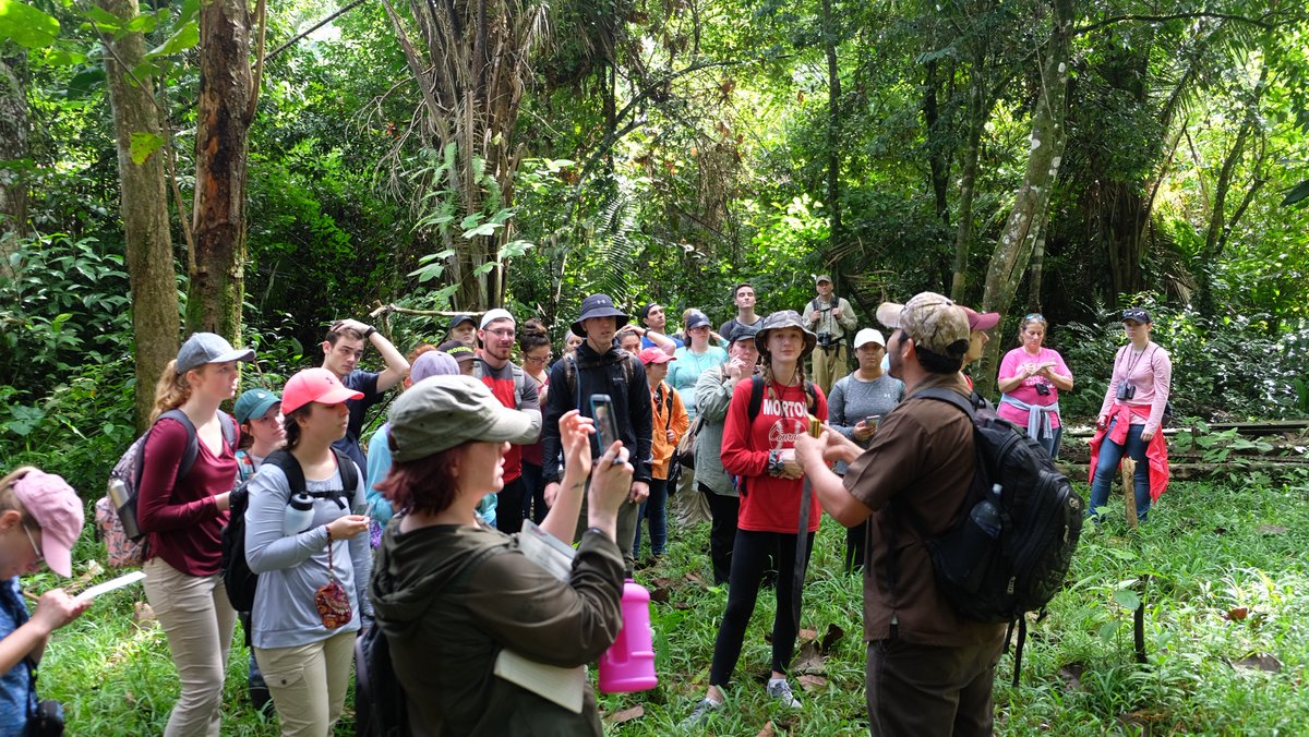 InspireEdVent's tweet photo. What inspires you today? For us, it is a classroom in the rainforest! #Belize @VivaBelize #inspiration https://t.co/SirpHwE7Ux