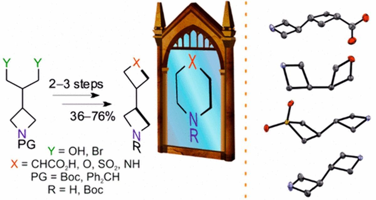 EnamineLtd's tweet photo. A JOC paper by Enamine scientists https://t.co/NazqgZ9GQI has become one of 20 most read articles of the last month.
Look at our BB set which we used in this research https://t.co/sDs5PyrpL2.
#enamine #enaminestore #enaminebb #drugdiscovery #news https://t.co/H92xZwrLRW