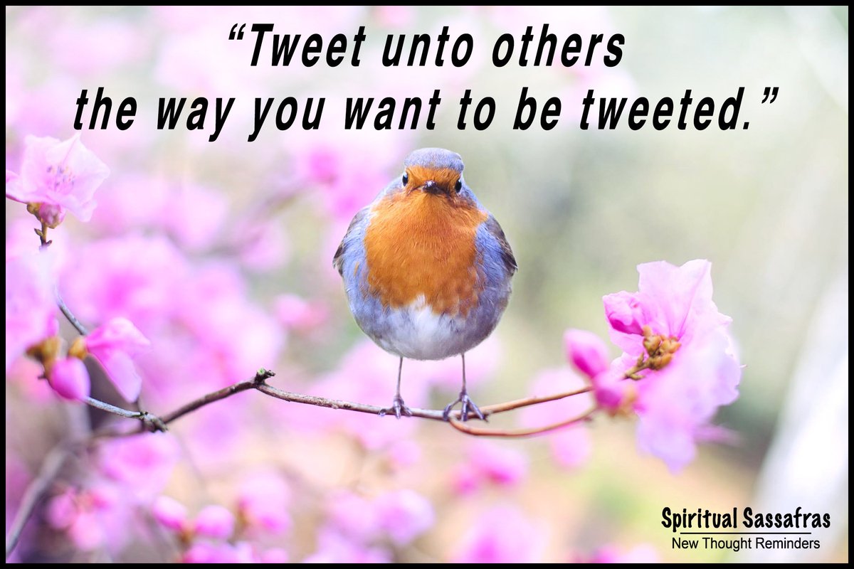 SpiritualSassa's tweet photo. New Thought Reminder: Use your voice mindfully.🐥

#TheGoldenRule #affirmativeprayer #bethechange #mindfulliving #mindfulness #lawofattraction #spiritualtools #spiritualgrowth #livingunity #unitychurch #centersforspiritualliving #scienceofmind #newthought #newthoughtreminders https://t.co/2aYD9uvnAA