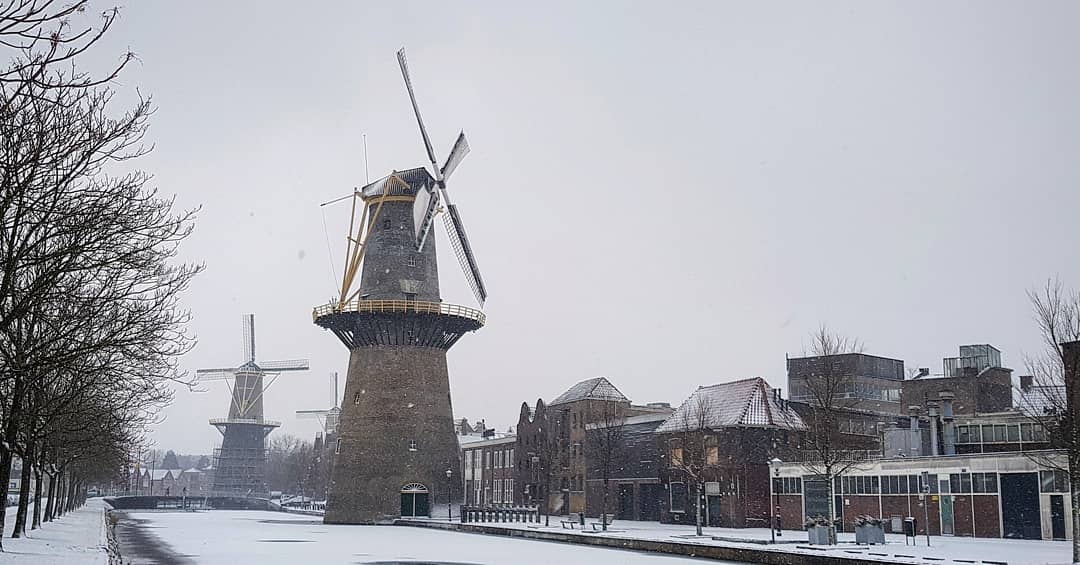 Wat een rijkdom toch om hier te mogen werken op dagen als vandaag! <a href="/molendevrijheid/">molen De Vrijheid Schiedam</a>! #ambacht #molenaar #molen #DeVrijheid #sneeuw #Schiedam #windmills