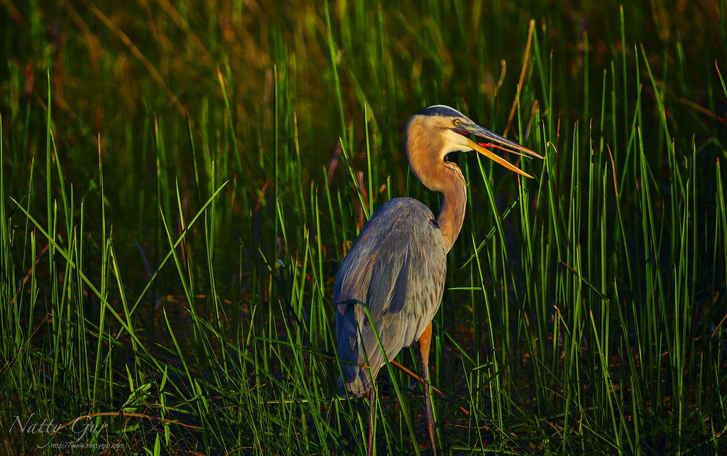 nattygur's tweet image. Running Companies on #NonDeterministic #Management (NDM) – Focus on the whole not the parts: ongalaxies.com/2019/01/22/run…
These posts series explain how to run organizations based on #NDM as operating principles.
#FutureOfWork #Agile #Business #FutureOfOrganizations #Leadership #HR