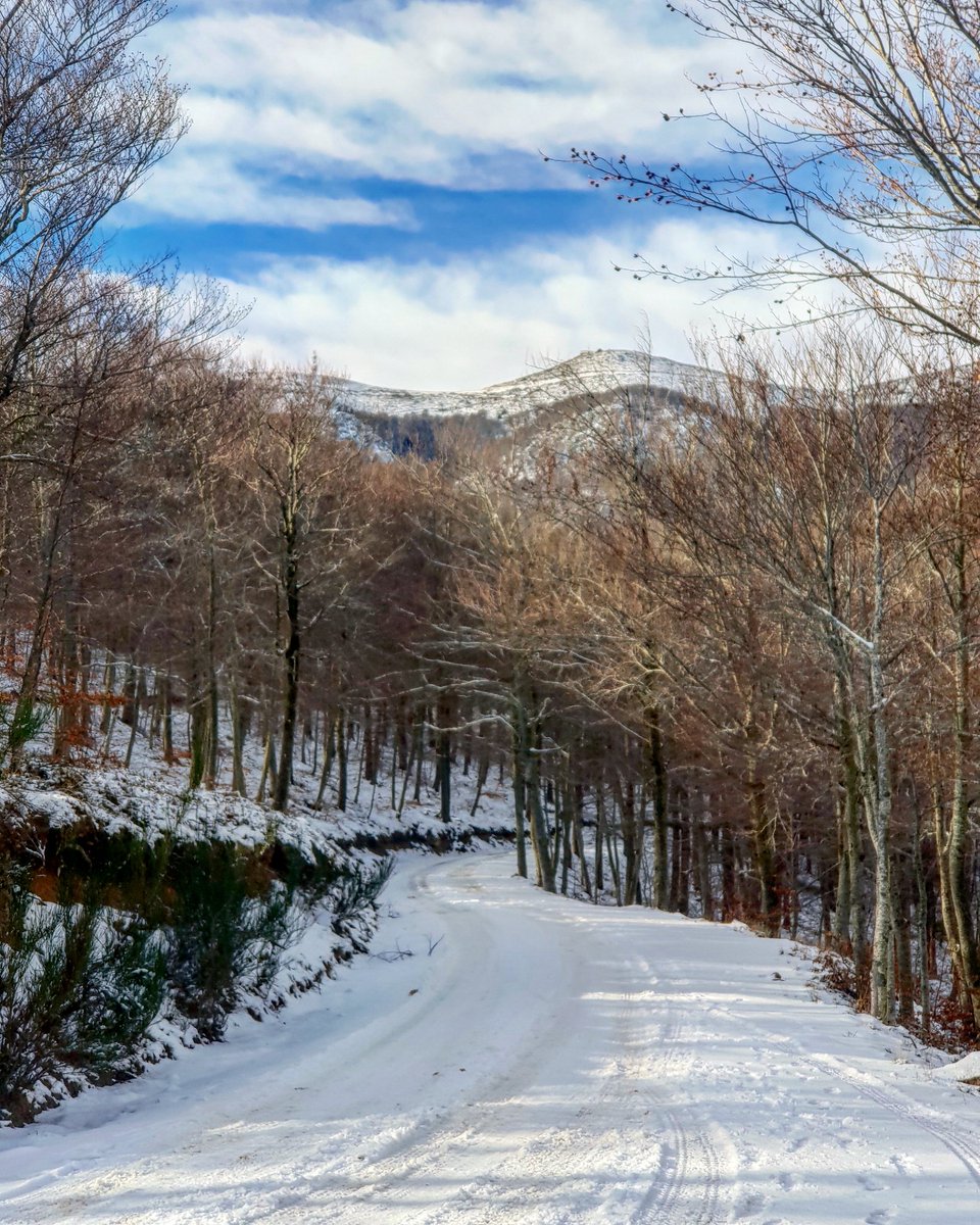 sznsmit's tweet photo. El Turó de l'Home, avui, vist des del camí entre el Convent i el Coll de Te. #turódelhome montseny #elconvent #colldete #fogarsdemontclús #vallèsoriental #arbúcies #laselva #bicicleta #btt #mtb #hivern2019 https://t.co/a8U6xChyuf