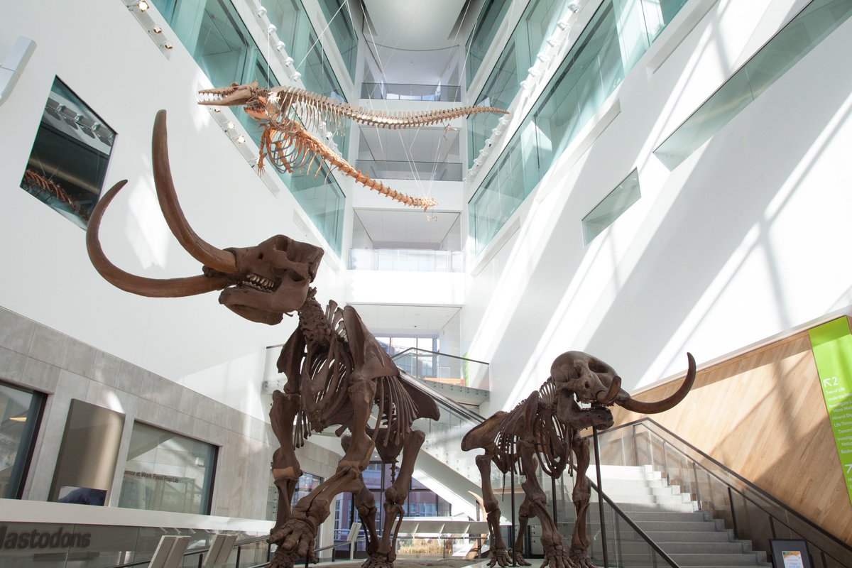 (Credit: University of Michigan)