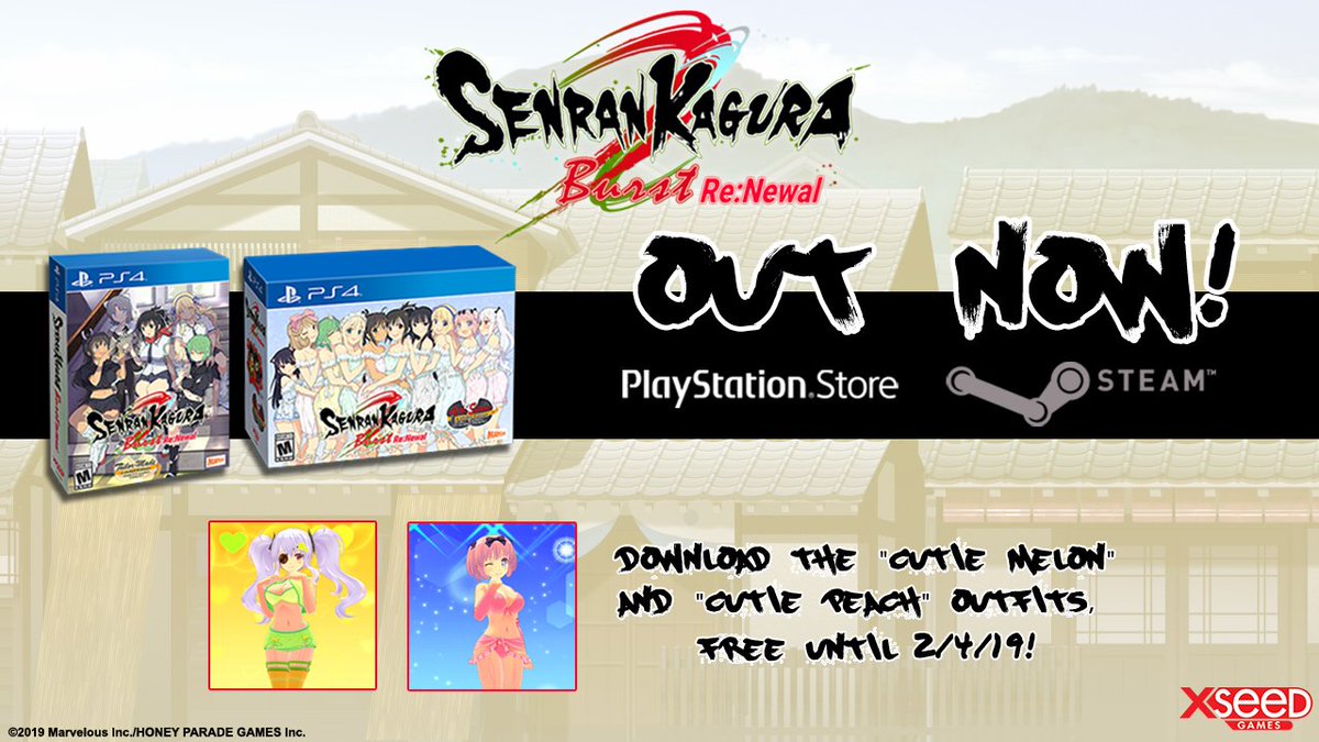 SENRAN KAGURA Burst Re:Newal — Tailor-Made Edition