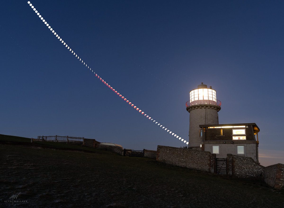 Alyn Wallace 🌌 tweet media