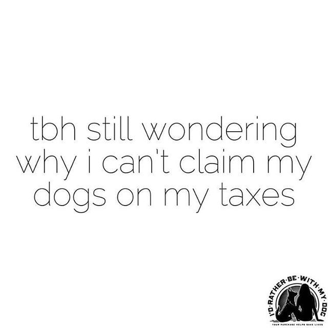 4Paws_4Rescue's tweet photo. Seriously though. #adoptdontshop #stlouis #dependents #pets #4paws_4rescue #rescue https://t.co/TEjoBE8oq3 https://t.co/5yWLzaJVvr
