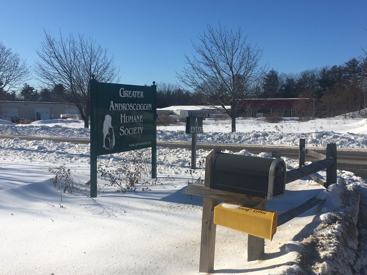 DanWGME's tweet image. We’re also speaking to the Greater Androscoggin Humane Society about what can be learned from videos like these &amp;amp; the best ways to report alleged abuse. #LiveOnCBS13