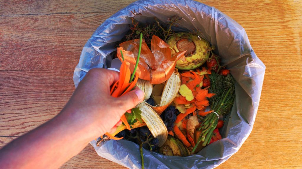 AdcockRealty's tweet image. Don&apos;t Toss It! 10 Surprising Things You Can Compost (and 3 You Really Shouldn&apos;t) buff.ly/2Wa9Xxb  #compostit #compostingtips