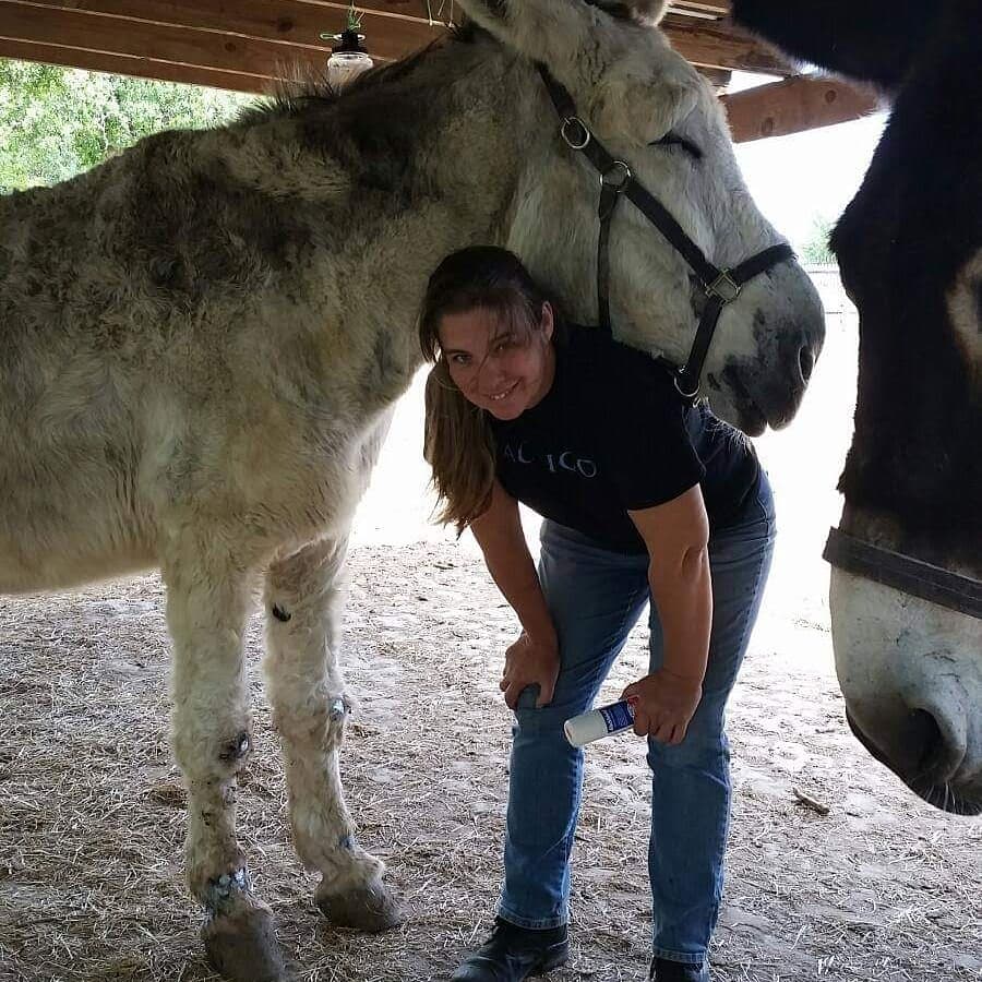 ocpdallas's tweet photo. Happy birthday to our favorite animal lover and expert, BONNIE COOLEY, History Host Liaison and Animal Care Manager! #dhvillage #AnimalsofDHV Join us in wishing her a fantastic day! #HappyBirthdayBonnie https://t.co/DfzbkD0jrH