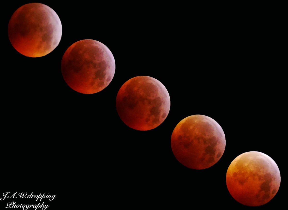 worldwisejazz's tweet photo. Sahara #BloodWolfMoon! Amazing sight🌖
>https://t.co/mN41ePmrAw
#Travel #sahara #wolfbloodmoon #TotalEclipse #bloodmoon2019 #Morocco #catchingthemoon https://t.co/x2nkzEdLzd