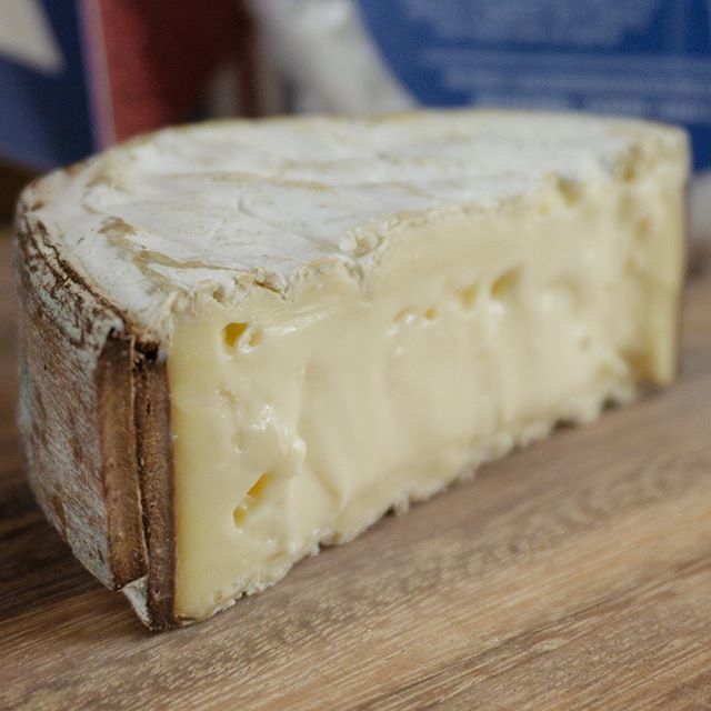 FishersCheese's tweet photo. 💁🏻‍♀️Back in the case: Harbison by @jasperhillfarm in Greensboro, Vermont! This soft-ripened cheese reminds us of fennel gratin with a hint dijon. Use it for your personal fondue dinners and serve it alongside a light white wine or Kölsch-style beer. #st… https://t.co/KaMmGkyAVd https://t.co/08Ezu2MEUi