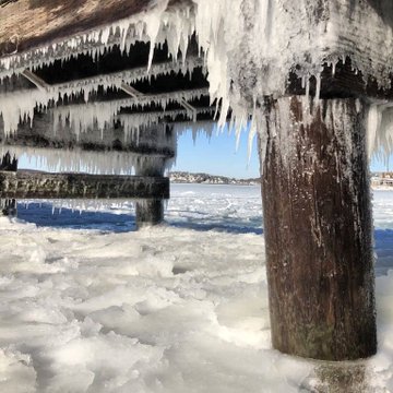 Ver imagen en Twitter