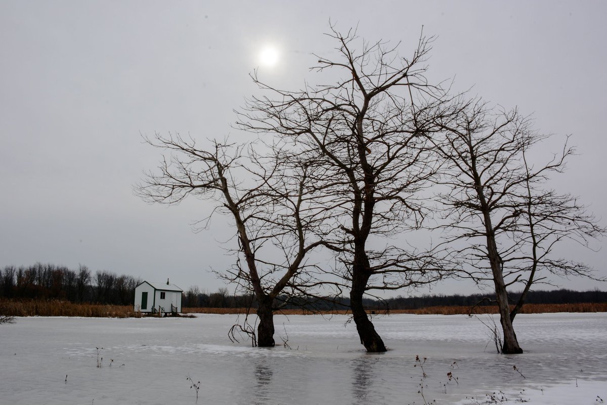 Come out and enjoy the winter scenery! Visitors are welcome to walk the trails at Corey Marsh Ecological Research Center. Please follow signs for parking off the road east of the gate. Please note that pets are not permitted west of the gate.