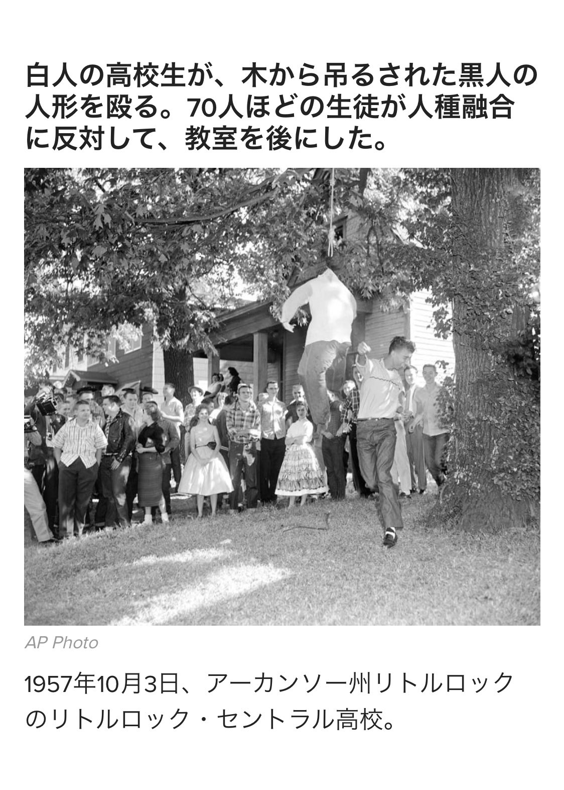 塩谷 舞 Mai Shiotani 今からたった62年前の様子 若者は時代の象徴だけれども こんな時代があったなんて 今この若者たちは80歳前後 当時のことをどう思うのだろう そして60年後の自分は 19年の発言をどう思うんだろう 日本の教科書では語られ