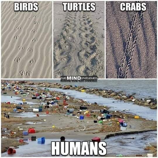 The truth hurts! We need to get back in touch with nature and start giving the planet the respect it deserves! #NoMorePlastic #STOPplasticpollution #SingleUsePlastic #environment #PlasticPollution