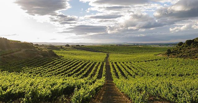 Dclickestudio's tweet photo. Paisajes de #Rioja #vineyards #sunset #quoteoftheday #winelover #lariojaapetece #landscape #sunrise #vineyards #wine #larioja #winedestination #dclickestudio https://t.co/0UmuI8p8hV https://t.co/Ayeq2XZ46v