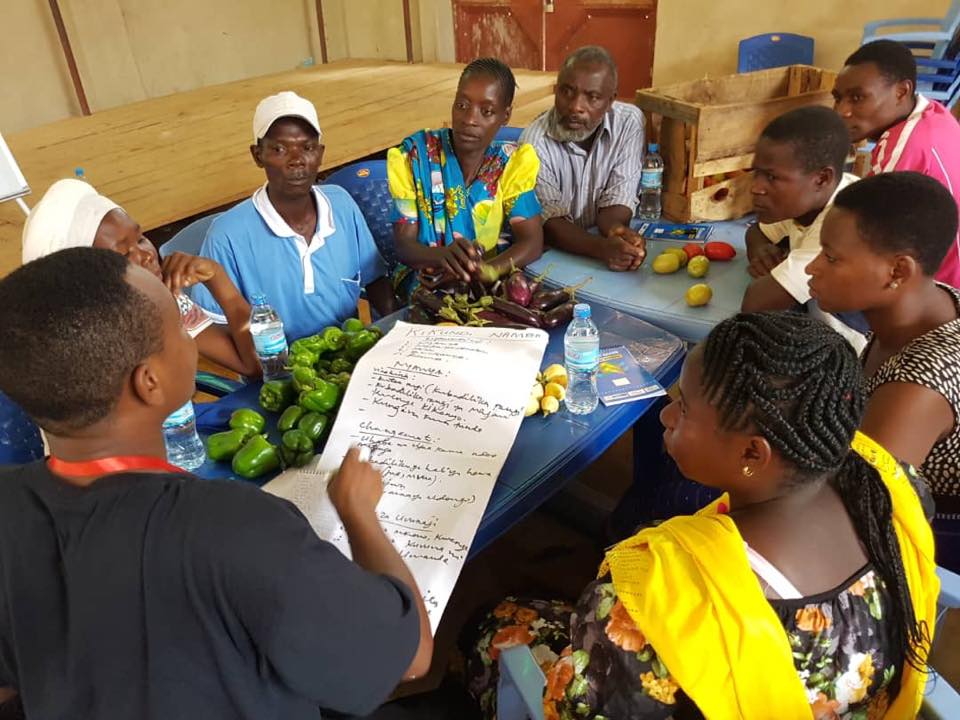 HortInnovLab's tweet photo. With Tanzanian extension agents freshly trained in reducing #postharvest losses, what's next? Take it to the farmer! Pics from Mlali, Tanzania, this week with our team led by Eleni Pliakoni @KStateOlathe with @SokoineU researchers, local agents &amp; vegetable farmers - https://t.co/ZU84ERsB3K