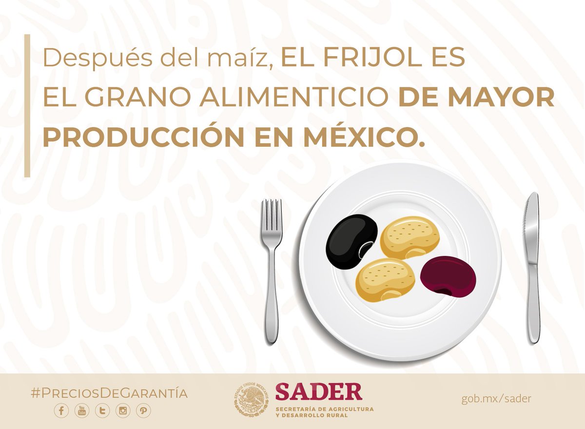 El programa #PreciosDeGarantía arrancará ofreciendo a los productores de frijol un pago de 14 mil 500 pesos por tonelada del grano, con un límite de hasta 20 hectáreas. Recuerda que el enfoque del programa es para atender a los pequeños productores.