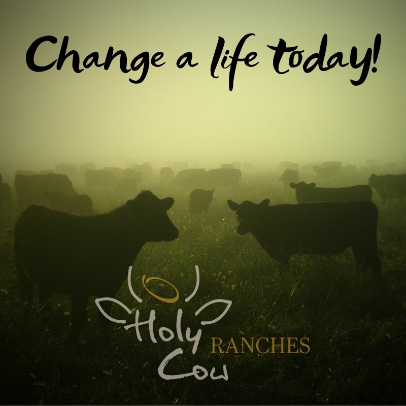 HolyCowRanches's tweet photo. Change lives today with Holy Cow Ranches!

#HolyCowRanches https://t.co/CfrecD4aBd