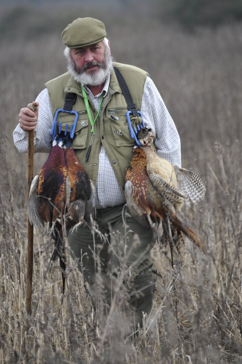 DeerServices's tweet photo. Norfolk boy picking up #pheasant #shootingseason https://t.co/P1XCVDd8Fr