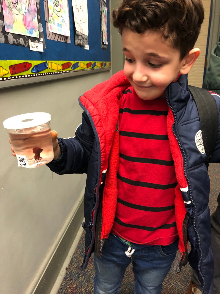 In case you were not sure, fish really do travel in schools! LOL!