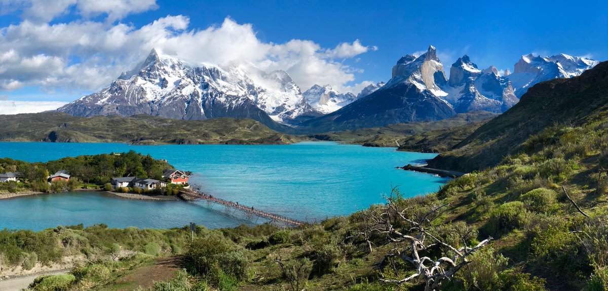 Avi Bender tweet media