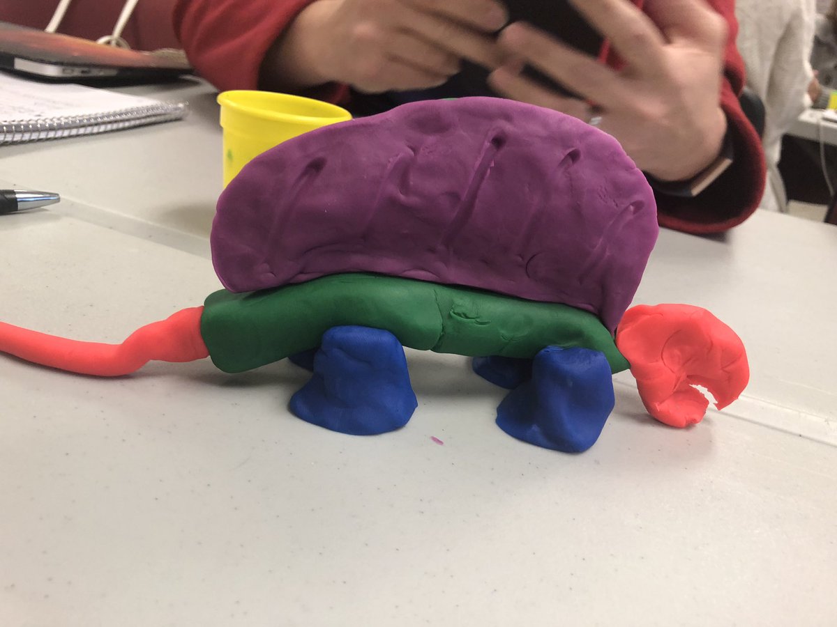 TheWeakleyFocus's tweet photo. eMINTS closer tonight brought me back to my 1st grade days 😜#eMINTS #BaldwinProud https://t.co/Y46Jtjn51G