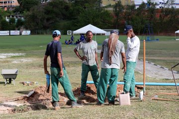 Ver imagem no Twitter