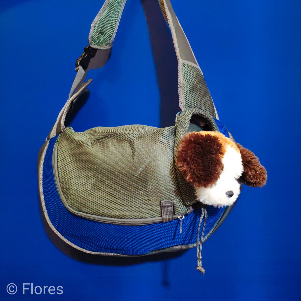FloresVitae's tweet photo. 🔗🅰🅻🅸🅴🆇🅿🆁🅴🆂🆂: https://t.co/61ou9atoQL

Pet carrier bag, see my #review on IG https://t.co/qnCM4wGsYn

#carrierbag #accessoriesforpets #fordog #forpet #carrierbagforpet #petcarrierbag #dogcarrierbag #papillon #followback #aliexpress #алиэкспресс 
 #переноска https://t.co/QE3YlczFXm