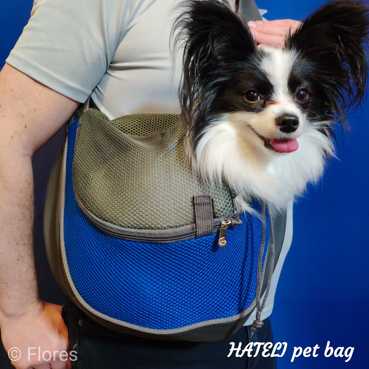 FloresVitae's tweet photo. 🔗🅰🅻🅸🅴🆇🅿🆁🅴🆂🆂: https://t.co/61ou9atoQL

Pet carrier bag, see my #review on IG https://t.co/qnCM4wGsYn

#carrierbag #accessoriesforpets #fordog #forpet #carrierbagforpet #petcarrierbag #dogcarrierbag #papillon #followback #aliexpress #алиэкспресс 
 #переноска https://t.co/QE3YlczFXm