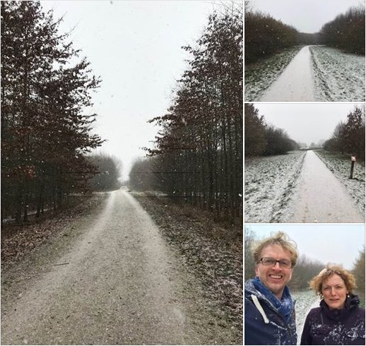 tkasteleijn's tweet photo. Een witte wereld werkoverleg wandeling op de eerste winterdag van 2019. Met netwerkcollege @Mariette6250 .

#winter2019 #zoekdevierwees #netwerken #vitaliteit https://t.co/gUJS7p0750