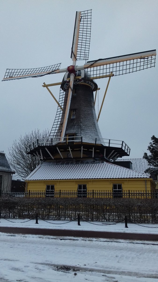 seeddoubt's tweet photo. Molen De Lelie in Rotterdam. #Plasmolens #KralingseBos https://t.co/zwyCtJa77a