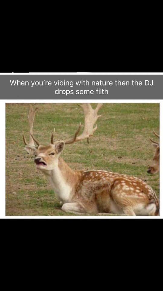 Who can relate? #dubstepmeme