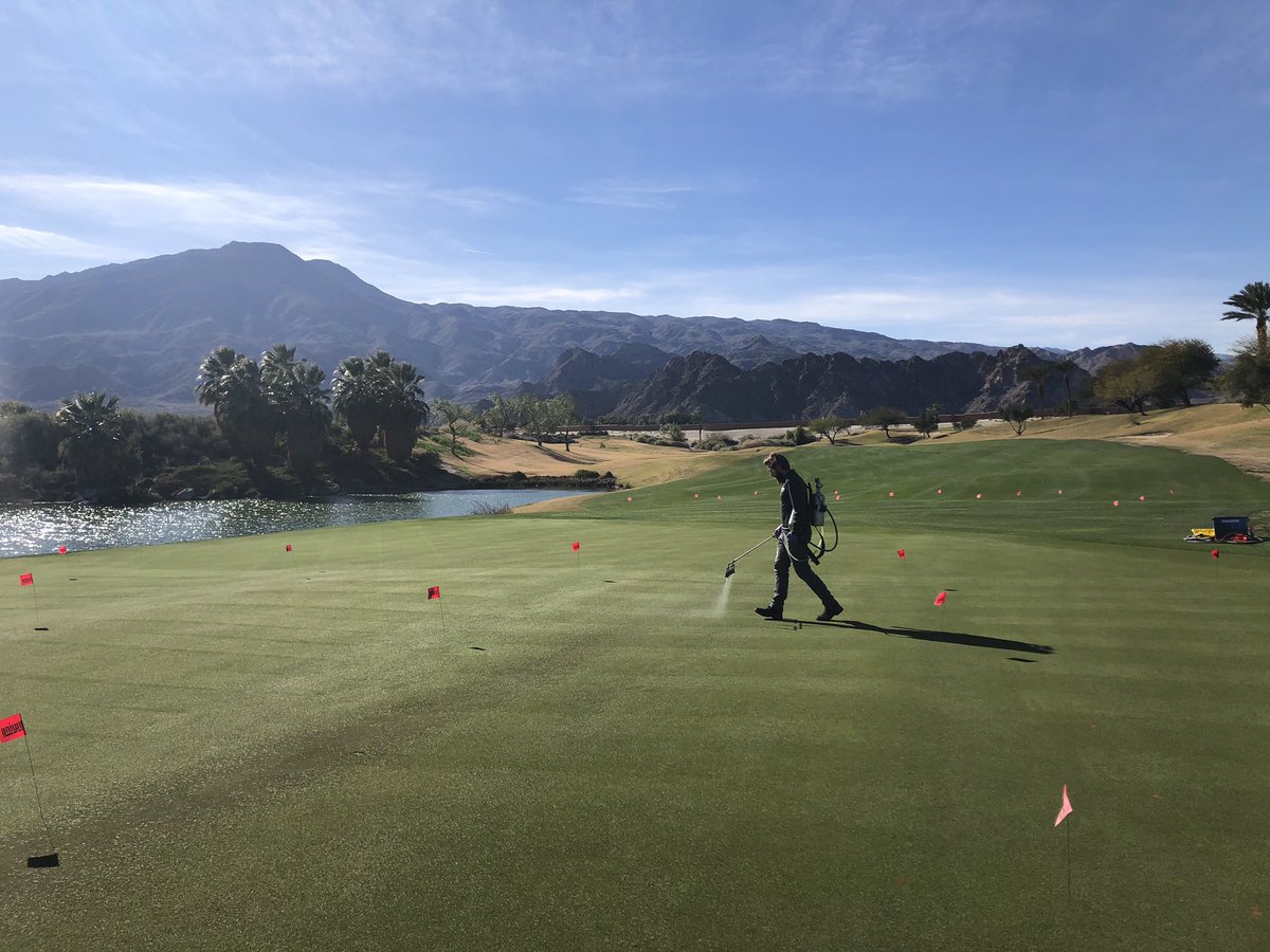 Nutrient study for <a href="/SipcamAgroTurf/">Sipcam Specialty</a> at Andalusia CC in La Quinta. Thanks <a href="/mikemagnani30/">Mike Magnani ⛳️</a> for hosting and Leonard Colvin, Assistant and Manuel Barboza, Spray Technician for helping us harvest clippings. <a href="/HilodesertGCSA/">Hi-Lo Desert GCSA ⛳️</a>