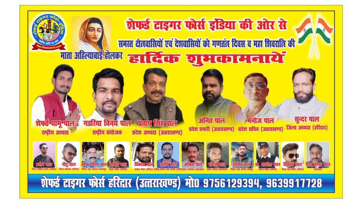 Shepherd Tiger Force India tweet media