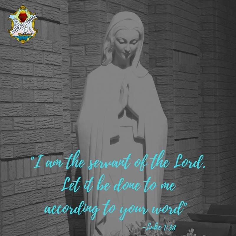 ascjus's tweet photo. Today begins World Youth Day in Panama. We unite our prayers with all of the young people gathered together with our Holy Father. #followmetuesday #apostlefire #yearofvocations https://t.co/iPvjiC8zbQ