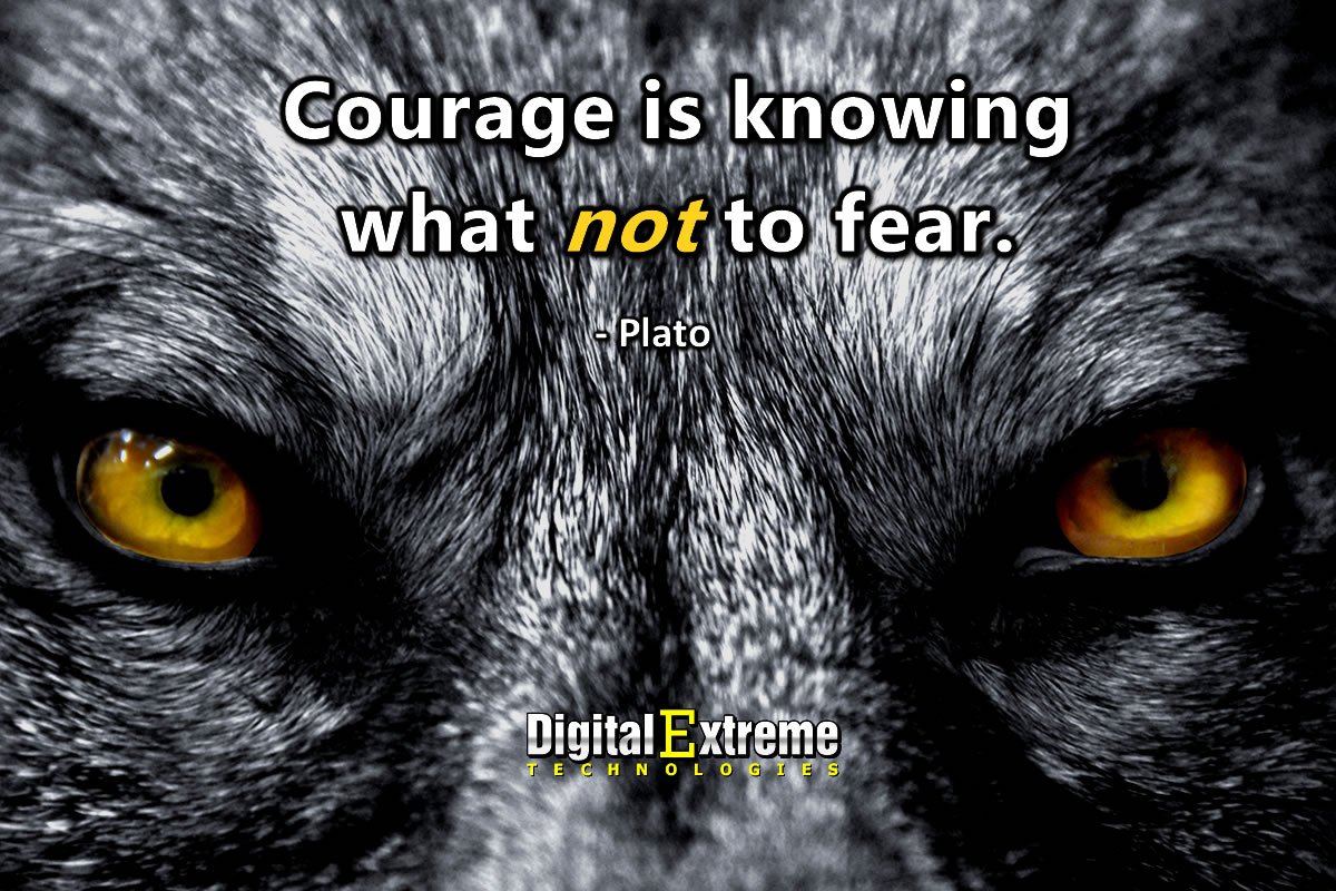 digitalxtech tweet picture