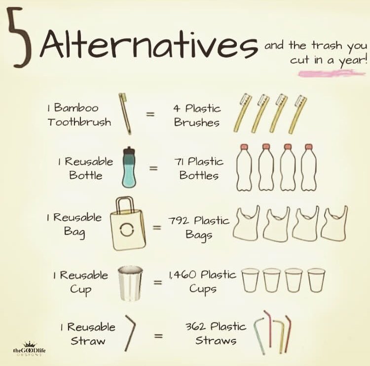 FauxRenee's tweet photo. Only 5 steps to cut your impact on the environment?! When it’s this easy why not?! #plasticfreeuofg https://t.co/qp1Q8mIq86