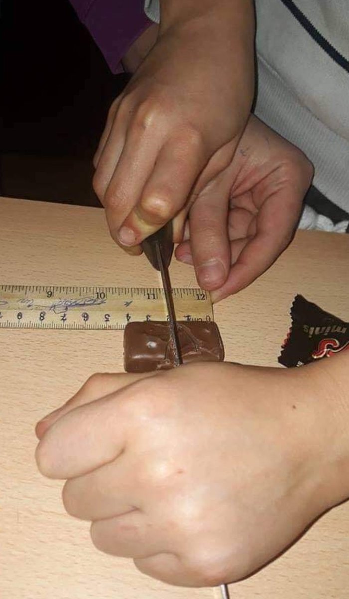 Tener hermanos, descripción gráfica:
