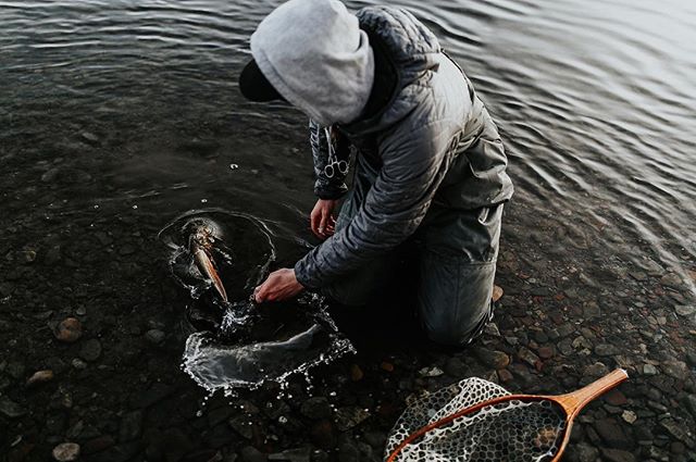 You know you need to get back out there when you longingly review the pictures from your last fishing trip 😅 
#stircrazy #north40flyshop #winter #catchandrelease #getoutside #wildernessculture #snow #rainbowtrout #trout #thetugisthedrug
